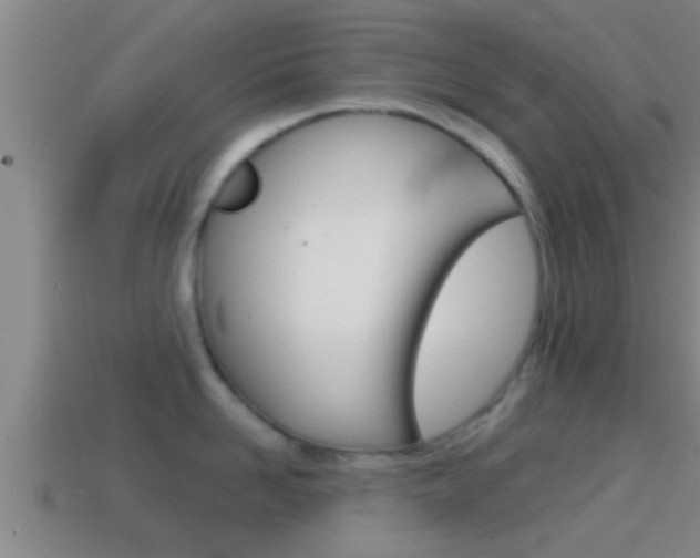 X0000114410958200910161029