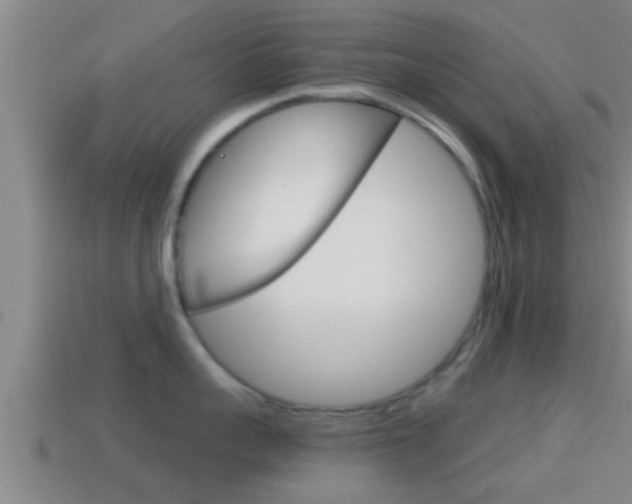 X0000114410959200910161029
