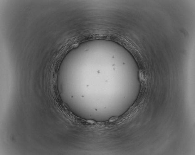 X0000114410961200910161028