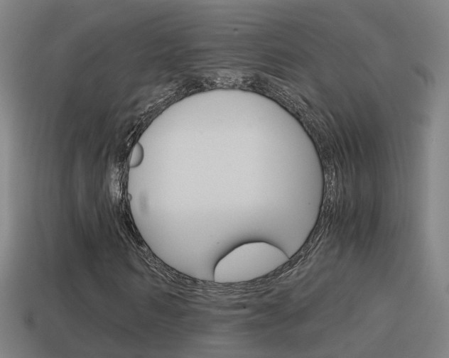 X0000114410962200910161028