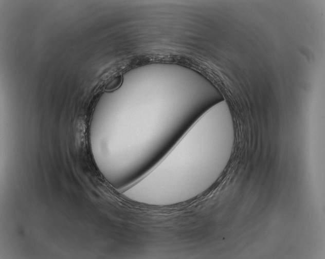 X0000114410964200910161028