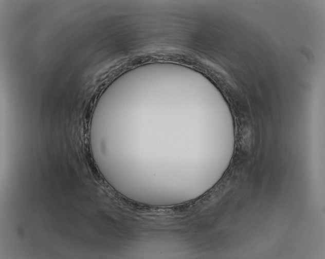X0000114410966200910161028