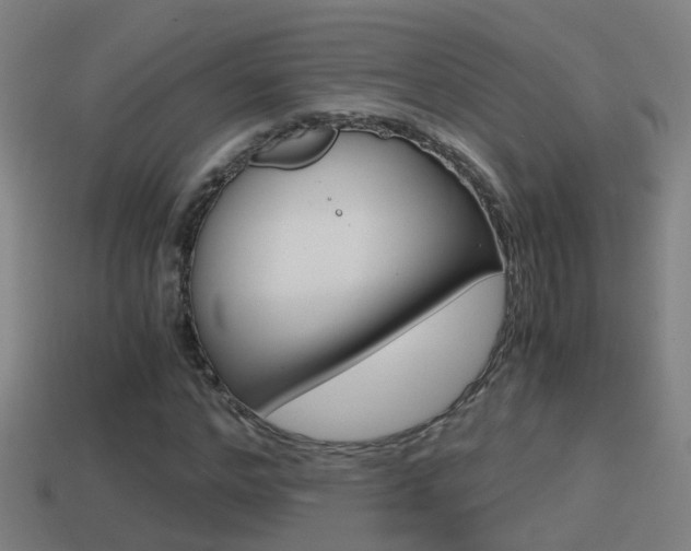 X0000114410968200910161028