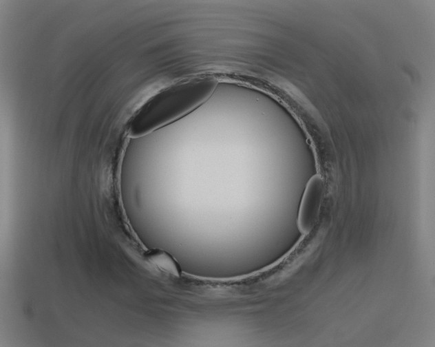 X0000114410969200910161028