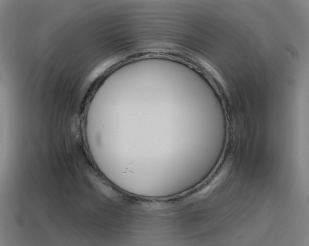 X0000114410970200910161028