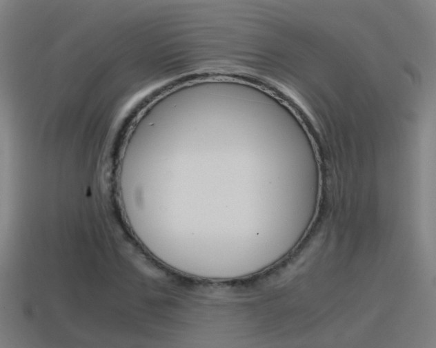 X0000114410971200910161028