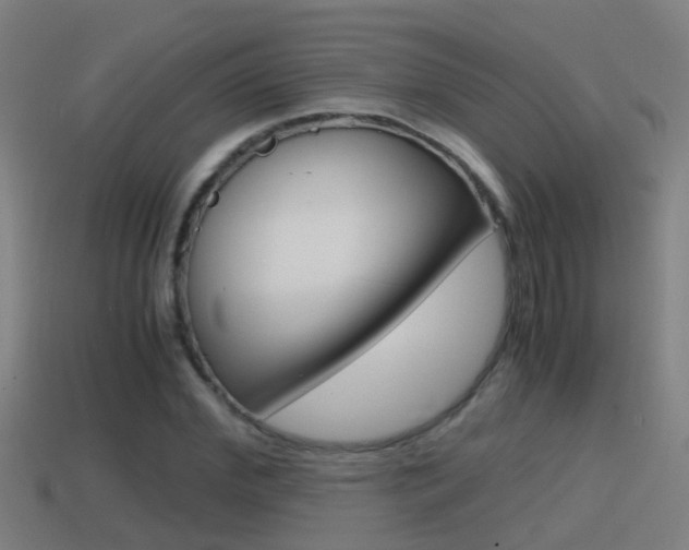 X0000114410972200910161028
