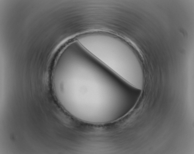X0000114410975200910161028