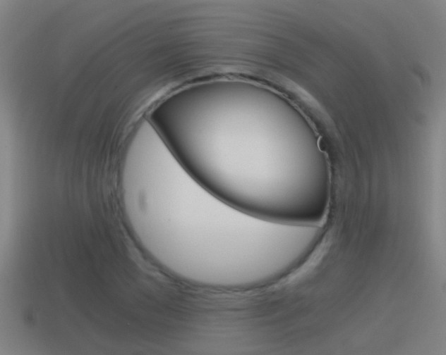 X0000114410977200910161028