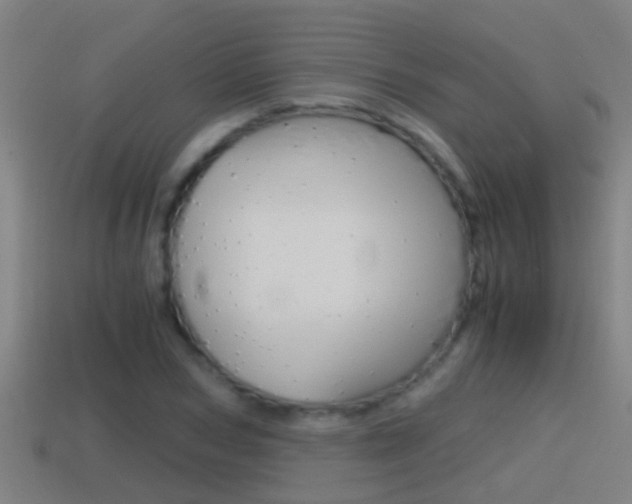 X0000114410978200910161028