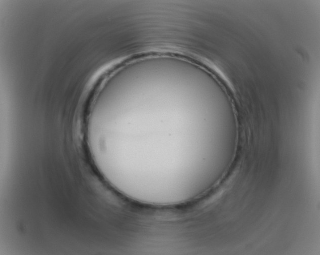 X0000114410979200910161028