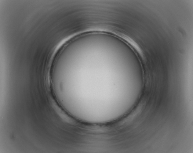 X0000114410980200910161028