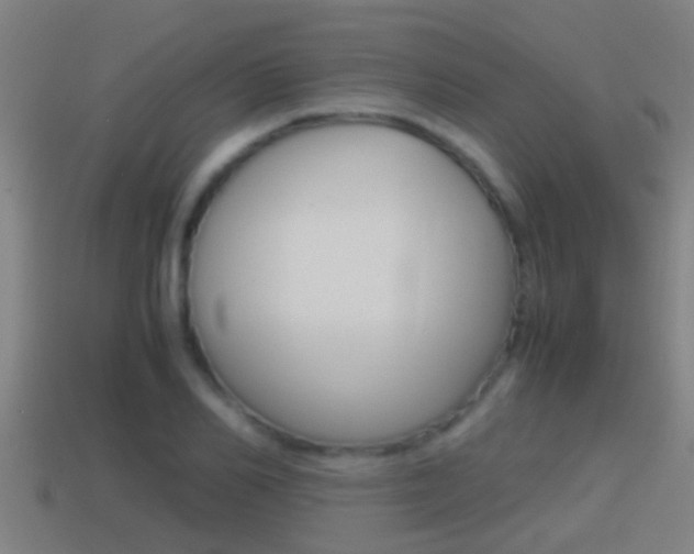 X0000114410982200910161028
