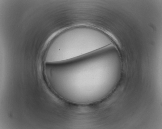 X0000114410983200910161028