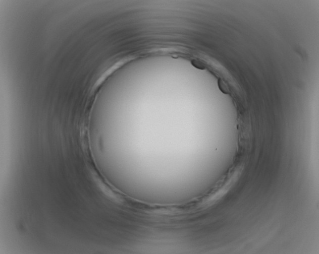 X0000114410985200910161028