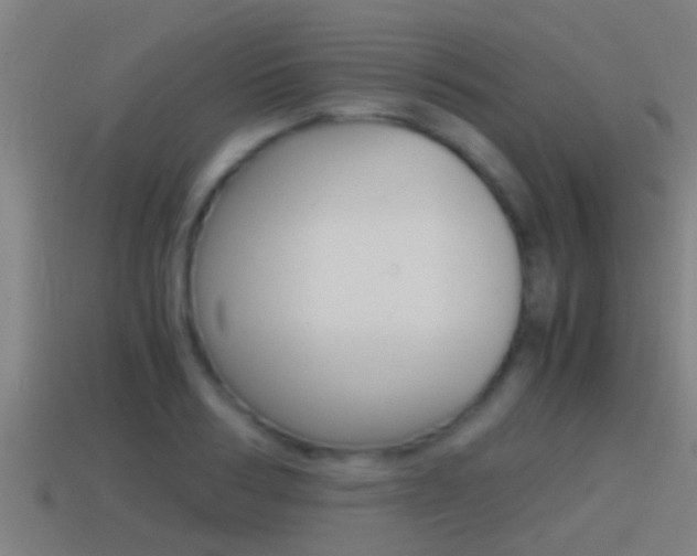 X0000114410986200910161028