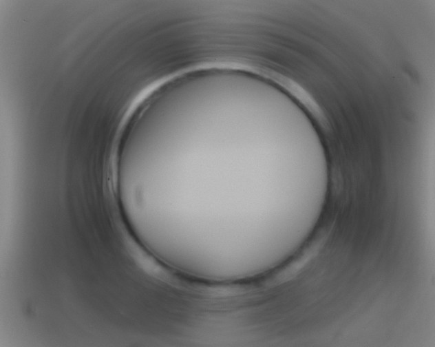 X0000114410988200910161028