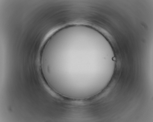 X0000114410990200910161028