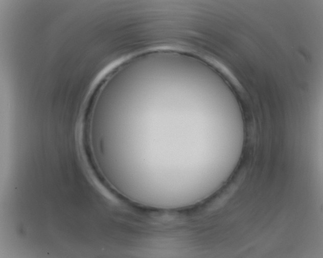 X0000114410991200910161028