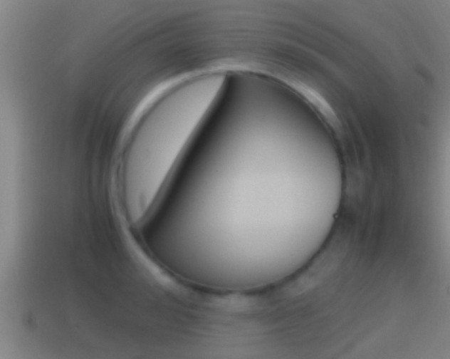 X0000114410992200910161028