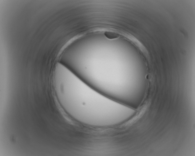X0000114410993200910161028