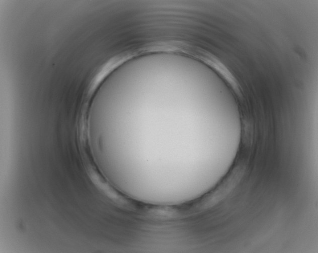 X0000114410994200910161028