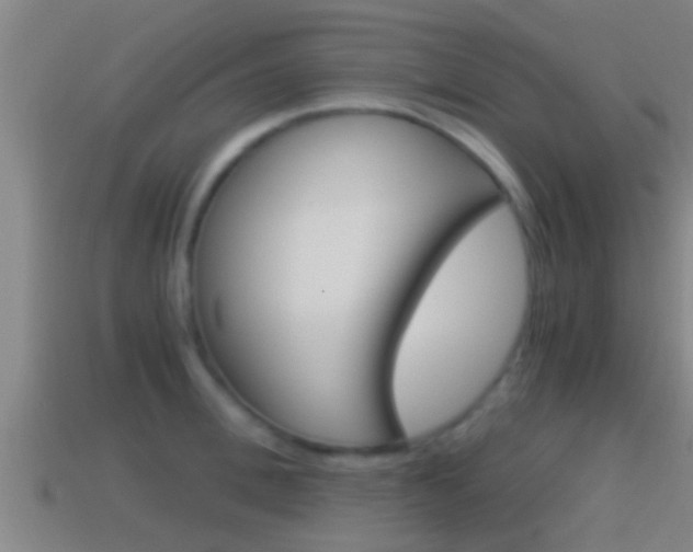 X0000114410996200910161028