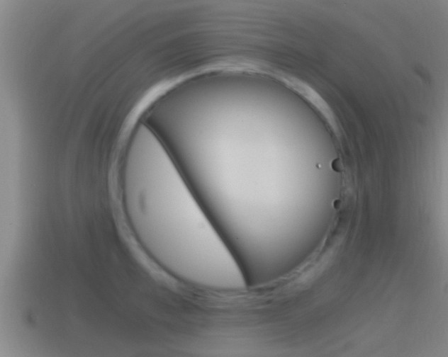 X0000114410997200910161028
