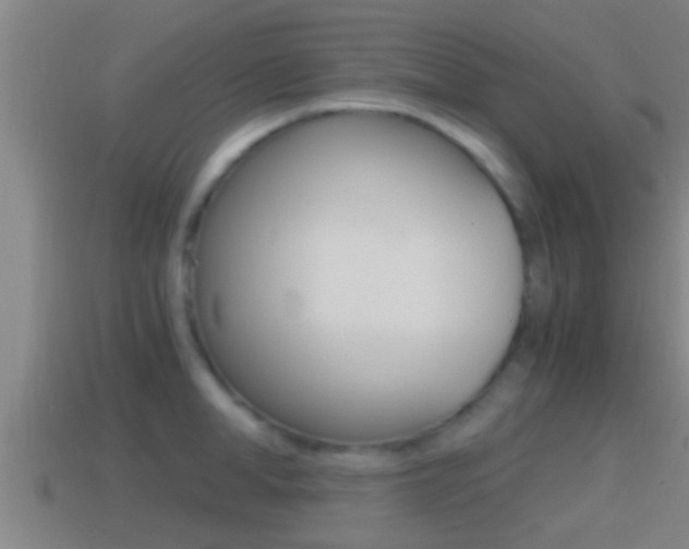 X0000114410998200910161028