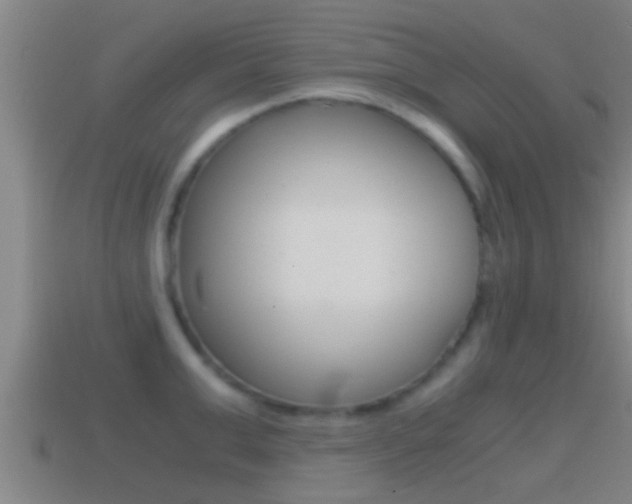 X0000114410999200910161028