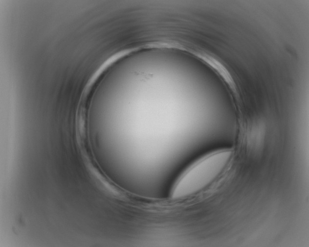 X0000114411000200910161028