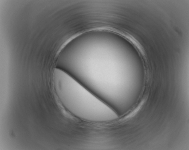 X0000114411001200910161028