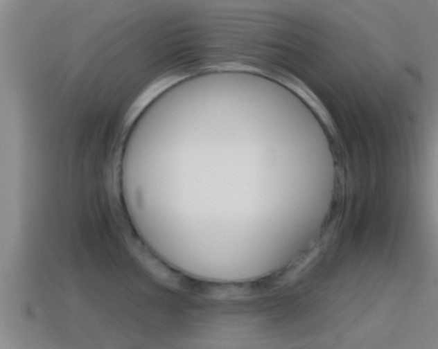 X0000114411002200910161027