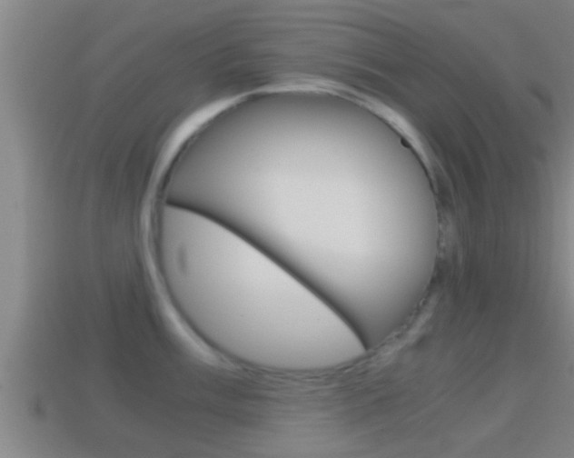 X0000114411003200910161027