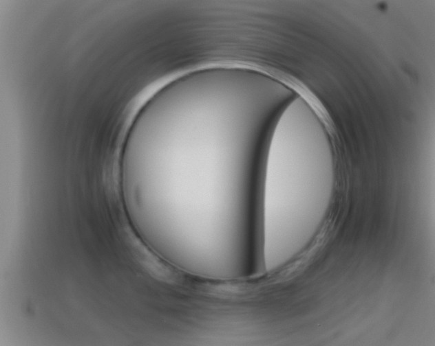 X0000114411004200910161027
