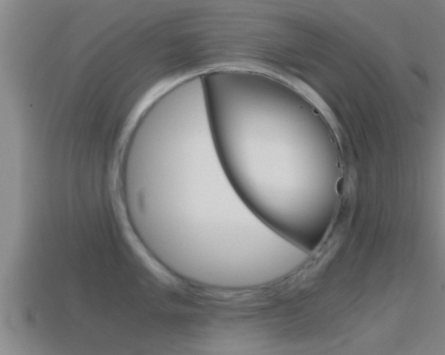 X0000114411005200910161027