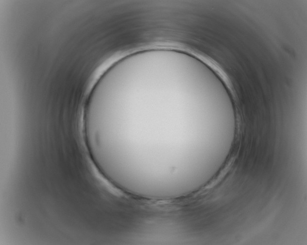 X0000114411006200910161027