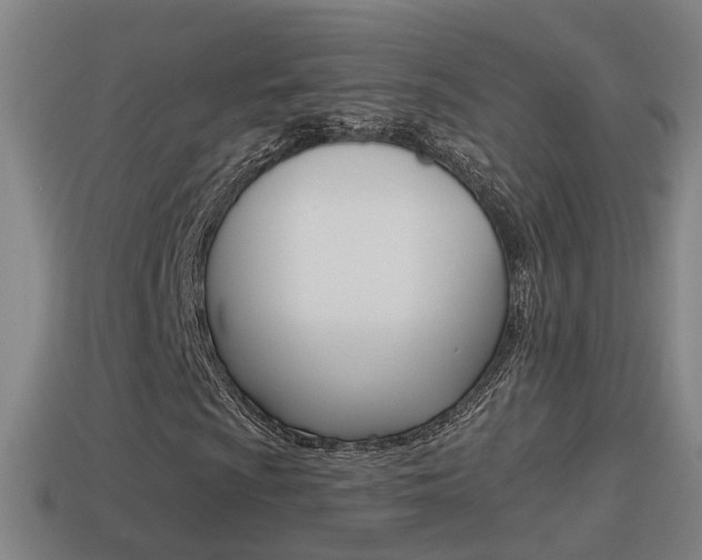 X0000114411009200910161027