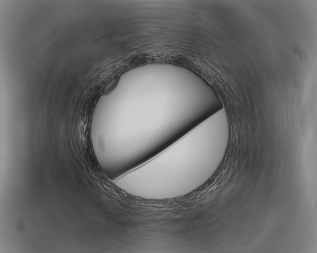 X0000114411010200910161027