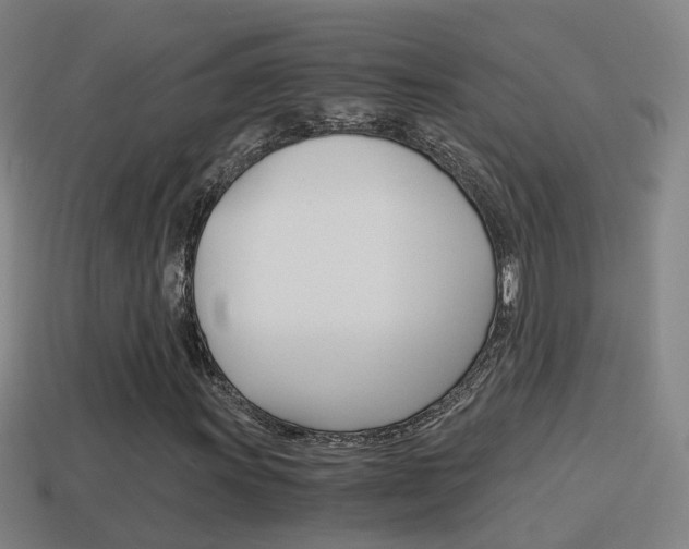 X0000114411011200910161027