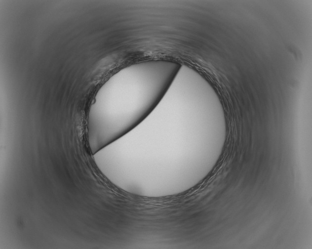 X0000114411012200910161027