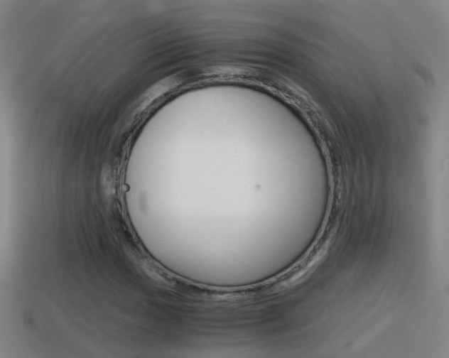 X0000114411017200910161027