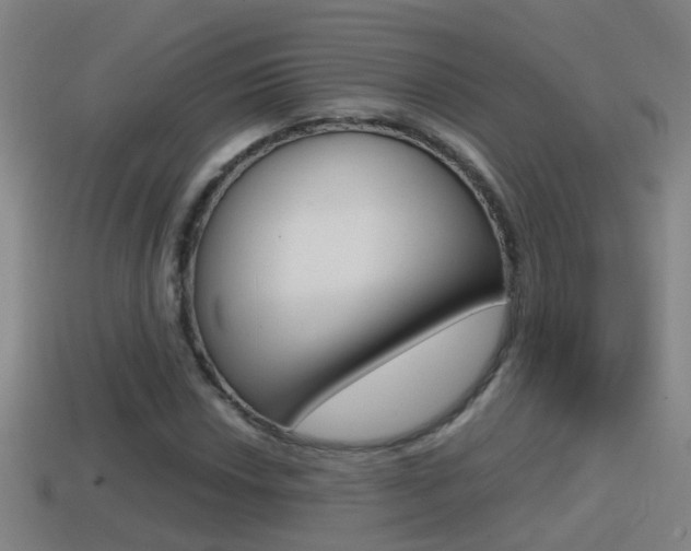 X0000114411018200910161027