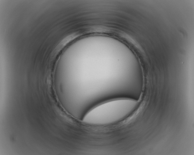 X0000114411025200910161027