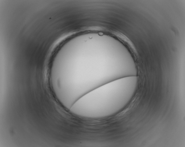 X0000114411027200910161027