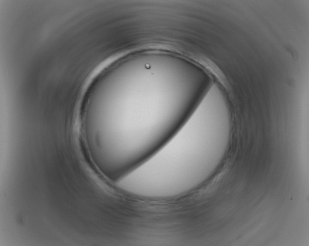X0000114411028200910161027