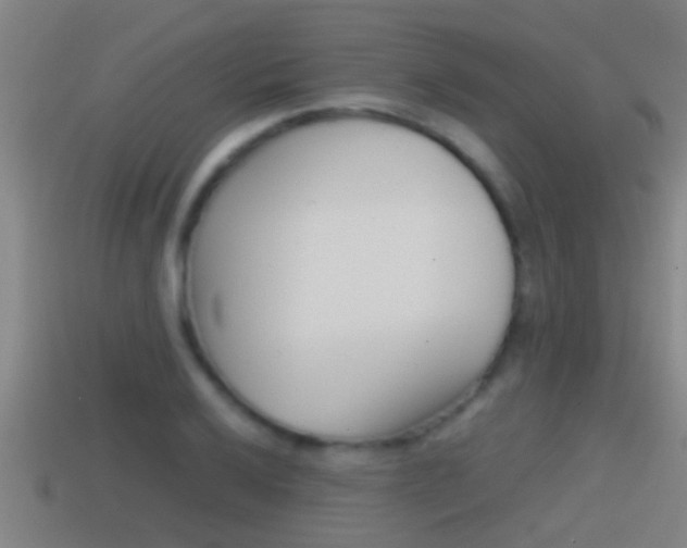 X0000114411032200910161027