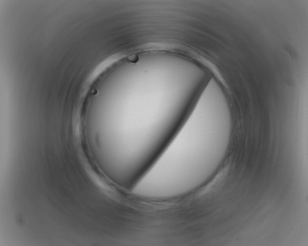 X0000114411034200910161027