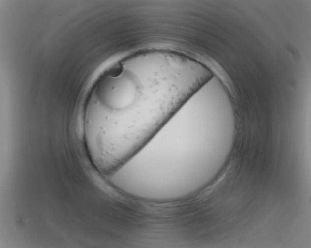 X0000114411036200910161027