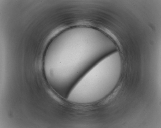 X0000114411037200910161027